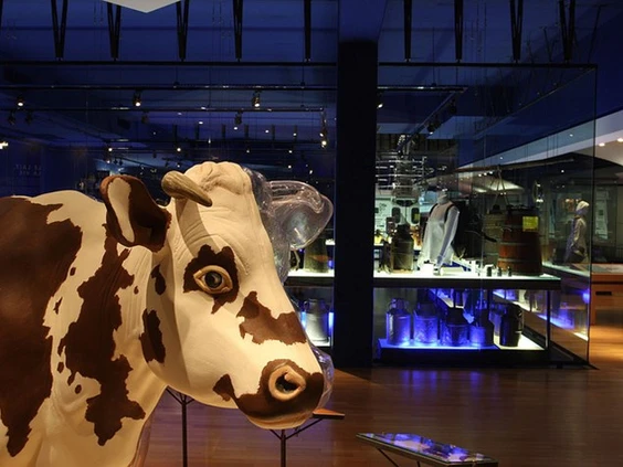 Junior Magazine City Guides 10 tips for a wonderful family weekend in Laval, France