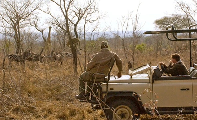 Junior Magazine Long Haul Ulusaba Rock Lodge, South Africa: 5 Star Luxe for families