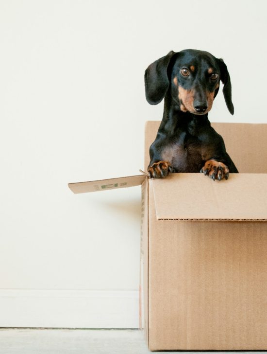 Junior Magazine Gift Guides 12 of the best subscription boxes for children