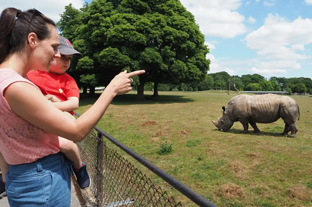 Junior Magazine UK Family Travel 5 Reasons Why ZSL Whipsnade Zoo Makes a Roarsome Sleepover!