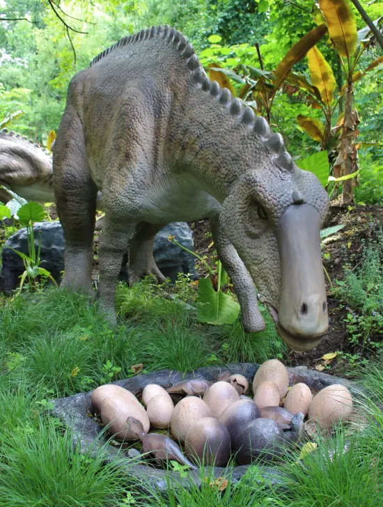 Junior Magazine UK Family Travel 5 Reasons Why ZSL Whipsnade Zoo Makes a Roarsome Sleepover!