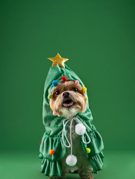 Junior Magazine Christmas Gift Guides Stocking Fillers for 7-11 year olds