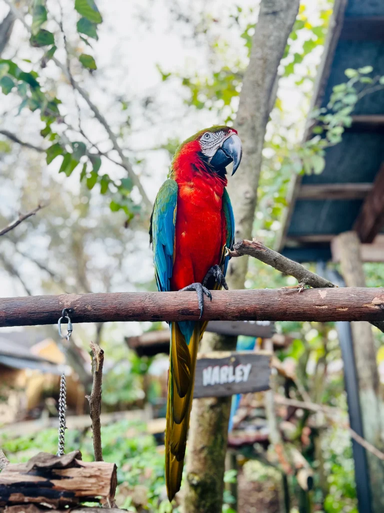 Junior Magazine Long Haul How Kissimmee is taking family holidays to the next level