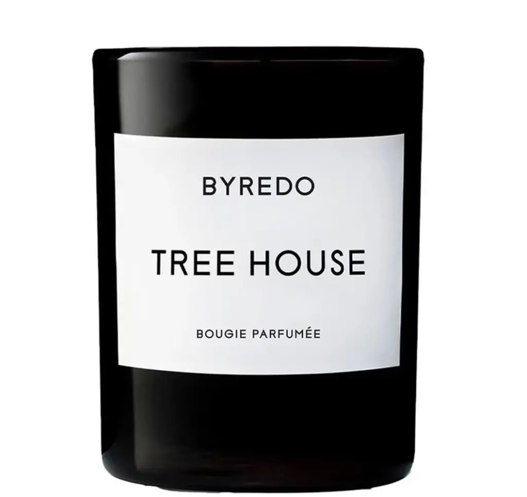 Junior Magazine Christmas Tree Farm