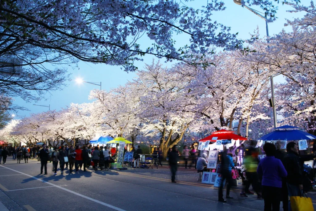 Junior Magazine Long Haul Seoul with Kids: 10 things not to miss