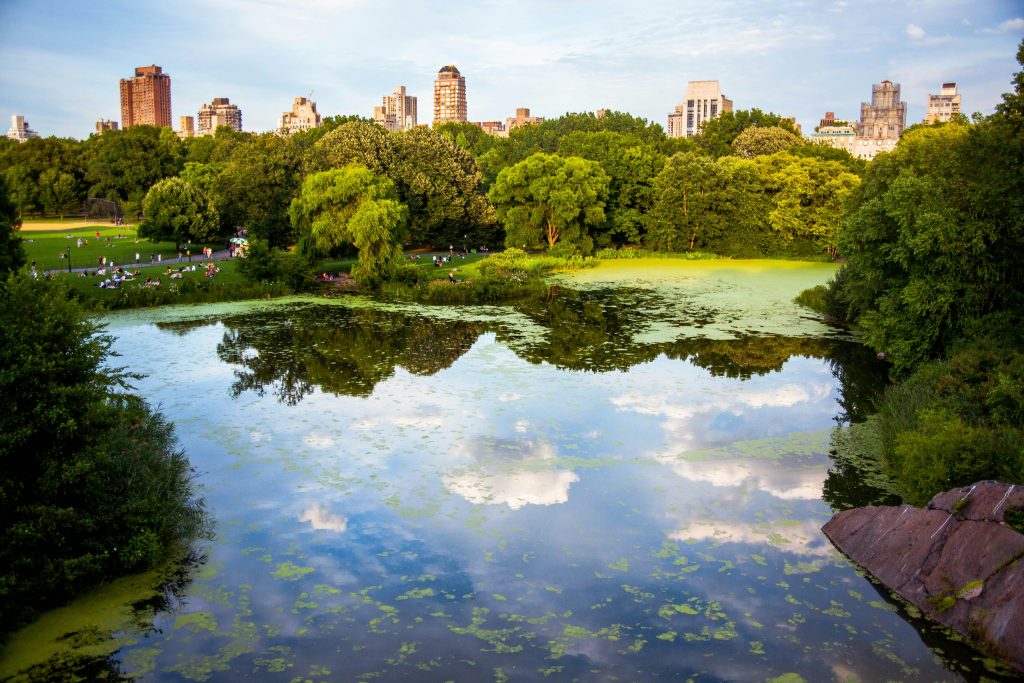 Junior Magazine City Guides New York: what to do and where to eat with children