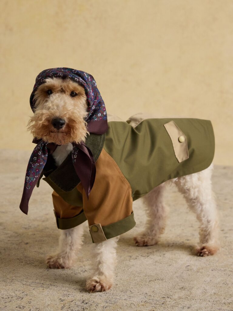 Junior Magazine Kennington Brown & Khaki Dog Coat, from £27, Joules