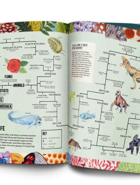 Junior Magazine Book Awards 2024 Best Designed / Illustrated Book for Children (Factual) – (published within last 12 months) | Junior Design Awards 2024