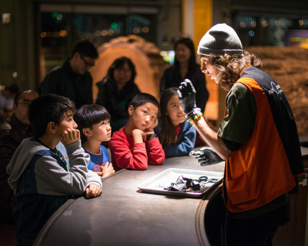Junior Magazine Long Haul The best things to do in San Francisco with children