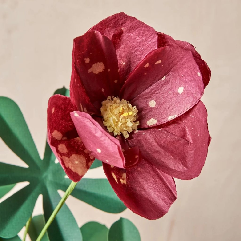 Junior Magazine Gift Guides Mother’s Day Flowers that Last!