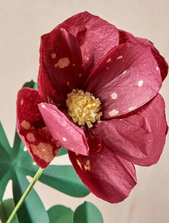 Junior Magazine Gift Guides Mother’s Day Flowers that Last!