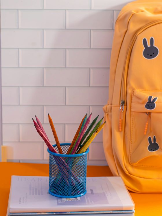Junior Magazine Lifestyle Classic Books for Children Starting School