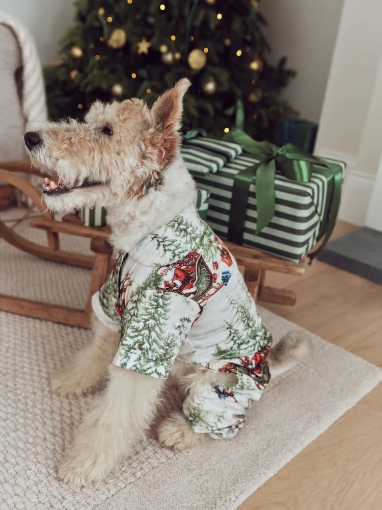 Junior Magazine Santa Matching Family Christmas Pet Pyjamas, £18, NEXT