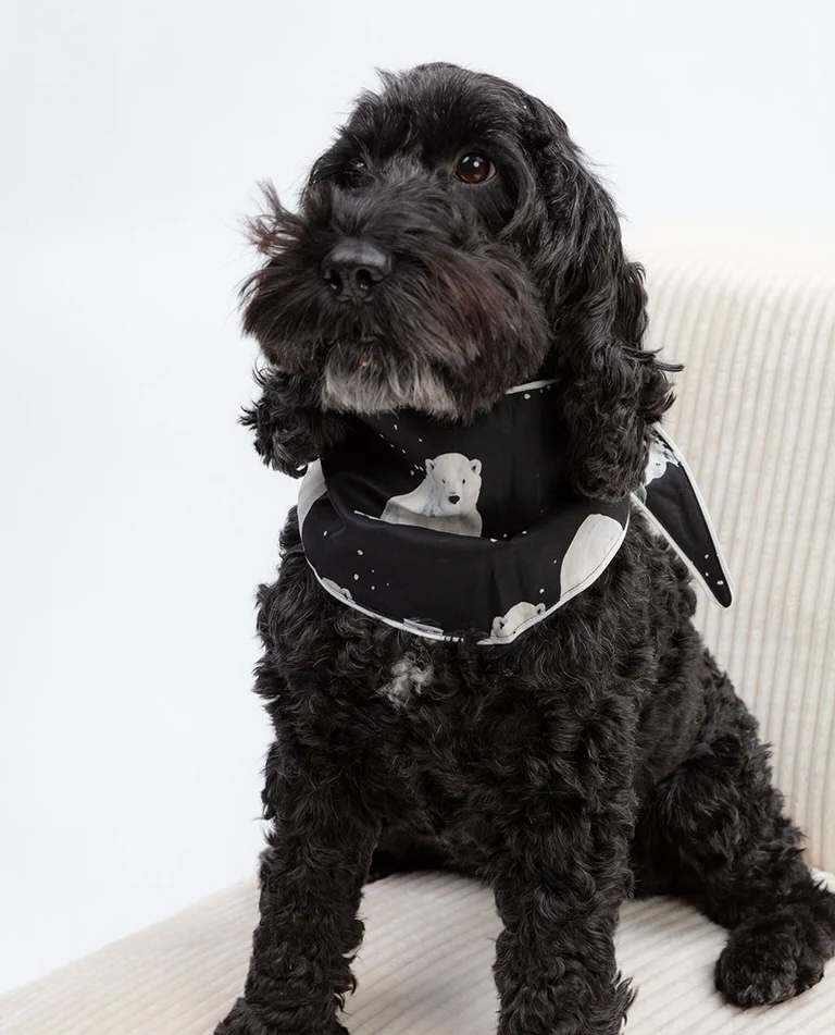 Junior Magazine Polar Bear Print Dog-Neckerchief, £8, Cyberjammies