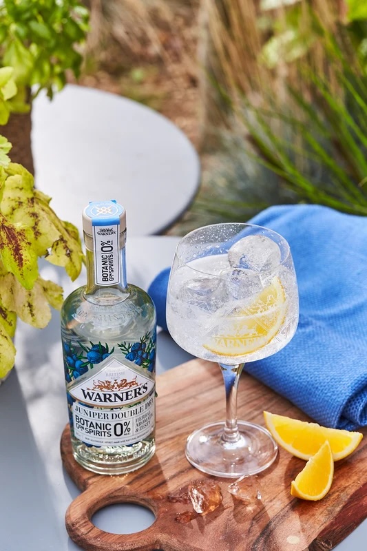 Junior Magazine Wellbeing 15 of the Best Non-Alcoholic Gin Alternatives