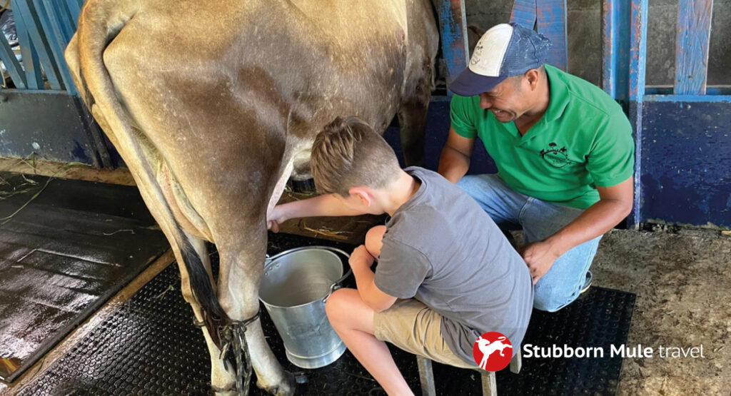 Junior Magazine Junior Travel Awards Winner: Best Family Adventure Holiday at Stubborn Mule | Junior Travel Awards 2026