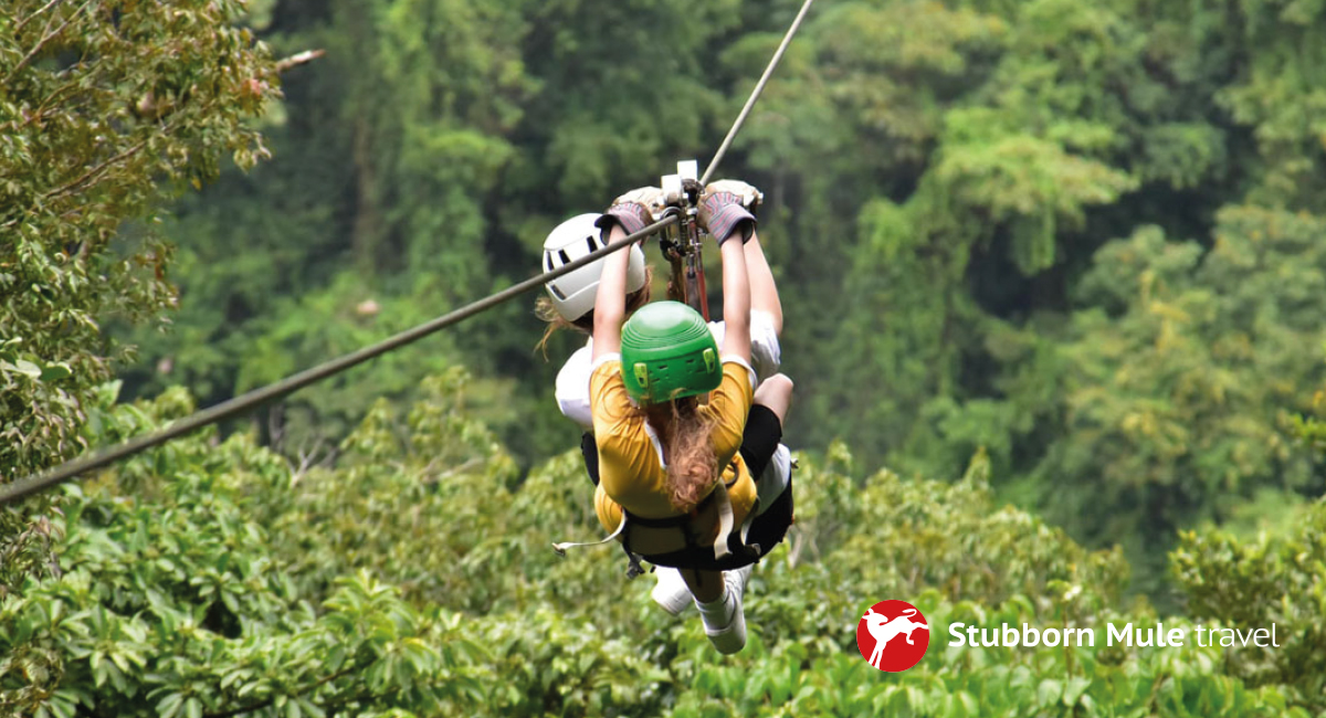 Junior Magazine Junior Travel Awards Winner: Best Family Adventure Holiday at Stubborn Mule | Junior Travel Awards 2026