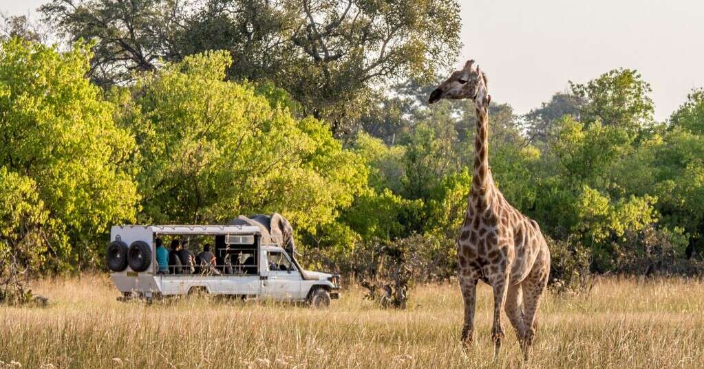Junior Magazine Junior Travel Awards Winner: Best Family Safari with Explore’s Family Botswana and Zimbabwe Adventure | Junior Travel Awards 2026