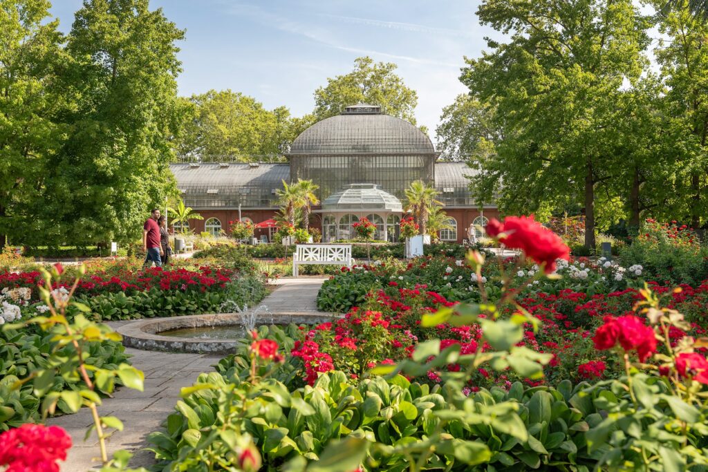 Junior Magazine Europe Family Getaway: 72 Hours in Frankfurt, Germany