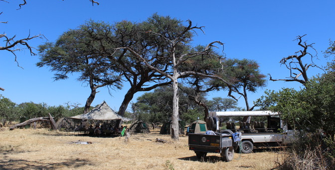 Junior Magazine Junior Travel Awards Winner: Best Family Safari with Explore’s Family Botswana and Zimbabwe Adventure | Junior Travel Awards 2026