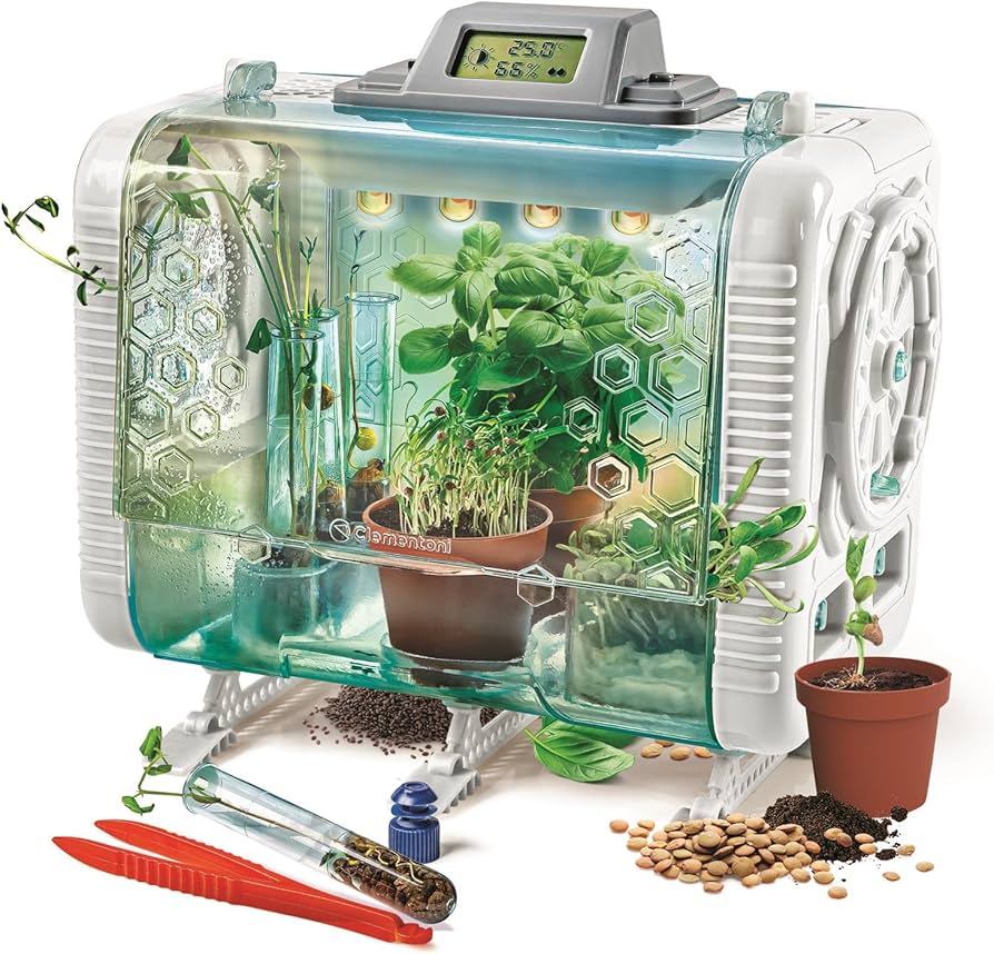 Junior Magazine Family Life How to Create a Mini Vegetable Garden with Children