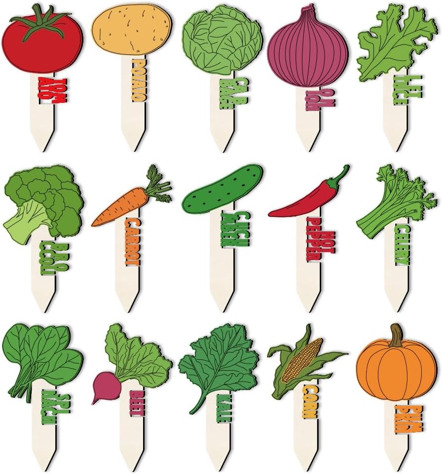 Junior Magazine Family Life How to Create a Mini Vegetable Garden with Children