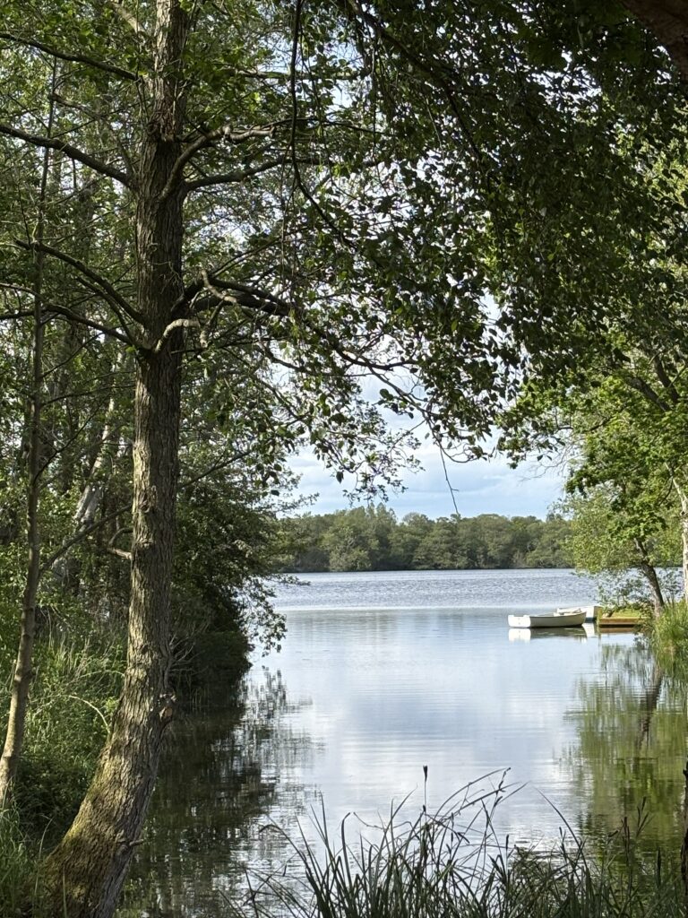 Junior Magazine Travel Wonderwild: Stay in Norfolk’s Nature-Led Bell Tents