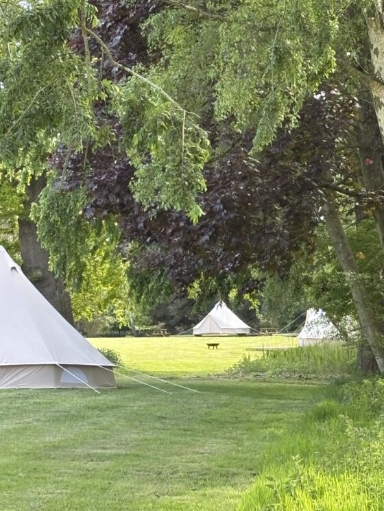 Junior Magazine Travel Wonderwild: Stay in Norfolk’s Nature-Led Bell Tents