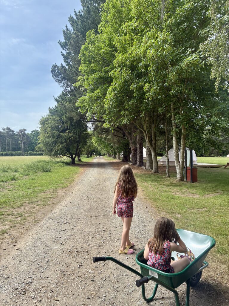 Junior Magazine Travel Wonderwild: Stay in Norfolk’s Nature-Led Bell Tents