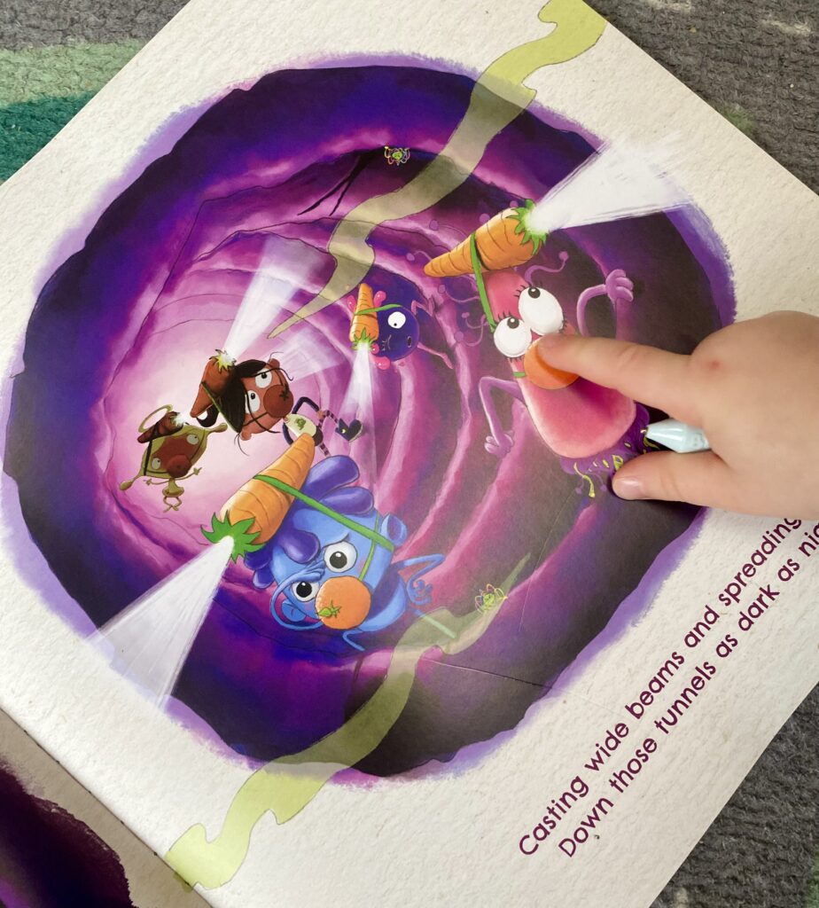 Junior Magazine Interviews 10 Questions With Belly Bugs Founder David Bell