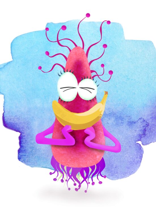 Junior Magazine Interviews 10 Questions With Belly Bugs Founder David Bell