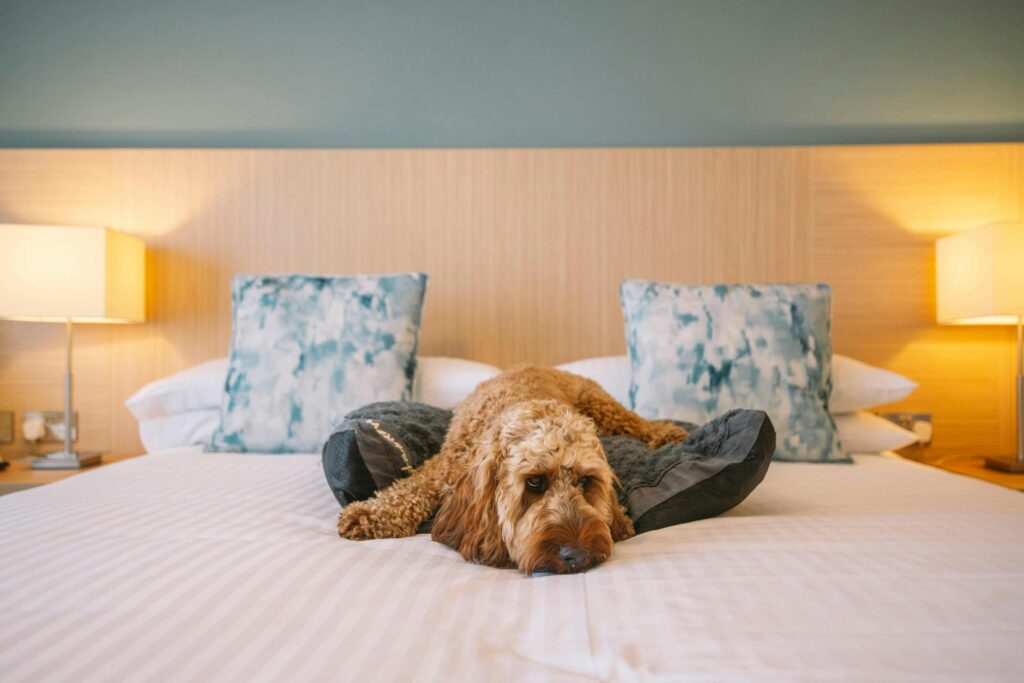 Junior Magazine Travel The Esplanade Hotel, Newquay: A Relaxed Family Escape by the Sea